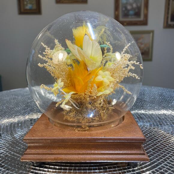 vintage taxidermy butterfly in globe yellow MCM - Picture 11 of 14